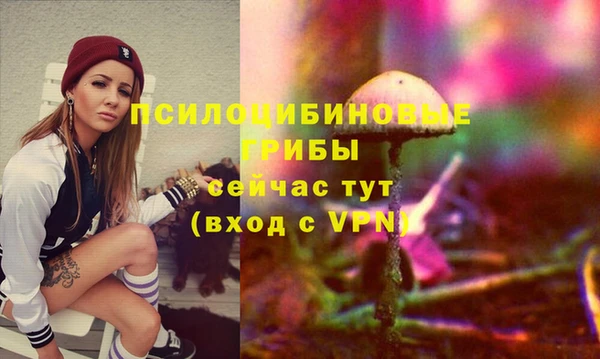 винт Алексин