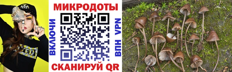 Галлюциногенные грибы Psilocybe  Бавлы 